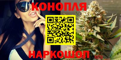 трава Кинель