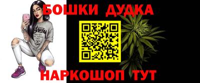 гидра Кингисепп