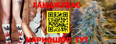 гидра Кингисепп