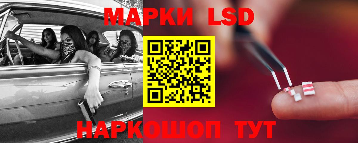 LSD-25 экстази кислота Лесной