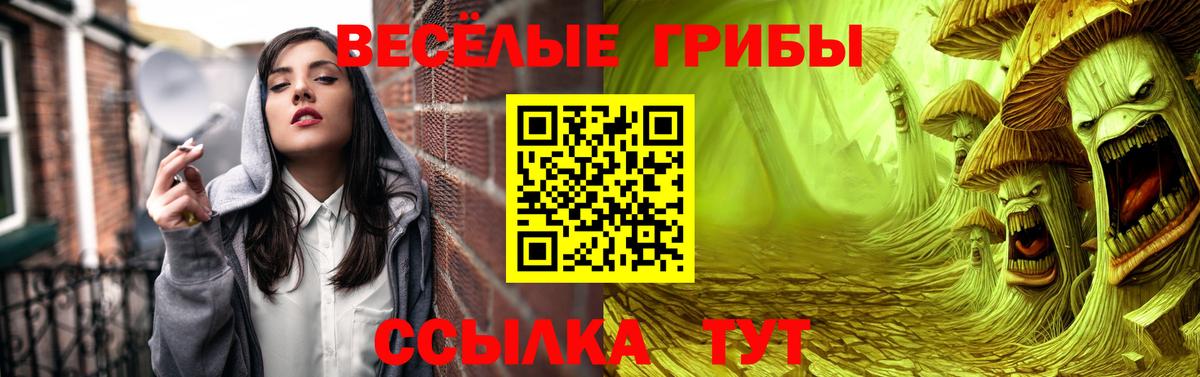 Лесной  закладка  Вход с VPN  Псилоцибиновые грибы прущие грибы 